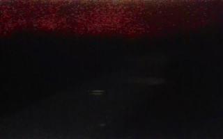 Kąty Rybackie Wschód - 17-12-2025 23:46