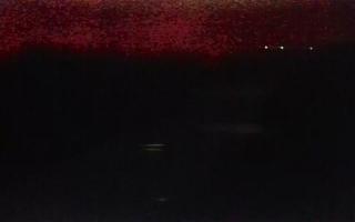 Kąty Rybackie Wschód - 18-12-2025 22:51