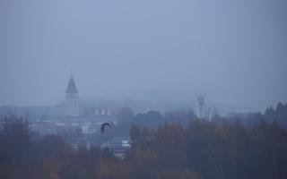 Chłapowo - 02-11-2025 05:48