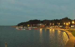 Dąbki - 02-05-2025 02:41