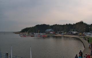 Dąbki - 02-05-2025 16:40