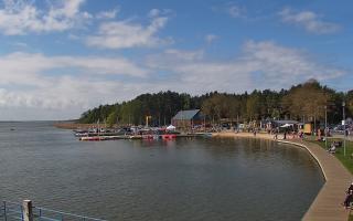 Dąbki - 03-05-2025 09:14