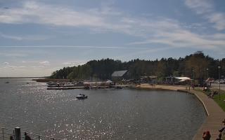 Dąbki - 03-05-2025 13:13