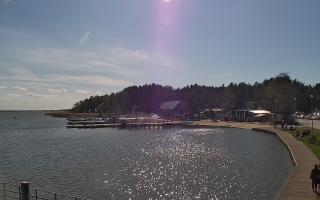 Dąbki - 03-05-2025 13:51