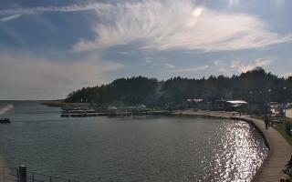 Dąbki - 03-05-2025 15:08