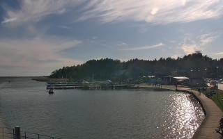 Dąbki - 03-05-2025 15:16