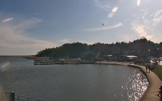 Dąbki - 03-05-2025 15:24