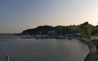 Dąbki - 16-06-2025 17:43