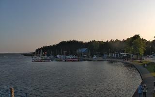 Dąbki - 16-06-2025 18:06