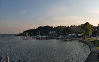 Dąbki - 17-06-2025 17:58