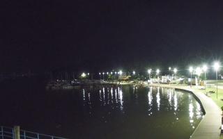 Dąbki - 03-08-2025 00:07