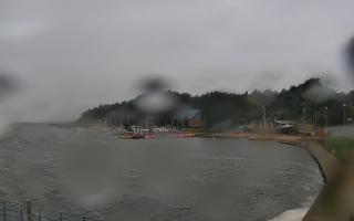 Dąbki - 18-09-2025 06:05