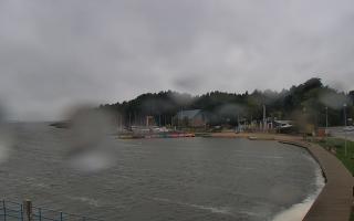 Dąbki - 18-09-2025 06:59