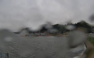 Dąbki - 18-09-2025 07:45