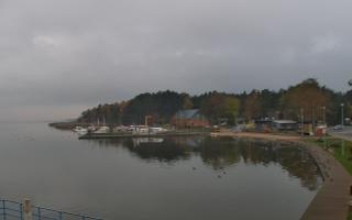 Dąbki - 02-11-2025 07:05