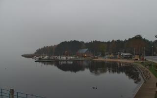 Dąbki - 03-11-2025 05:56