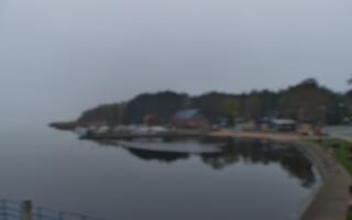 Dąbki - 03-11-2025 06:19