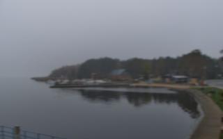 Dąbki - 03-11-2025 07:13