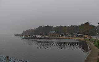 Dąbki - 03-11-2025 07:20