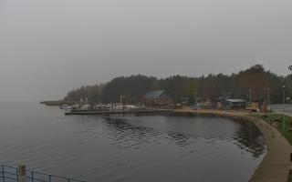 Dąbki - 03-11-2025 07:51