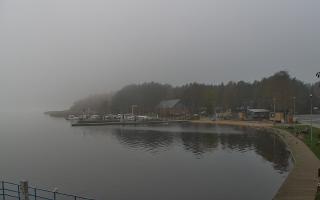 Dąbki - 03-11-2025 09:00