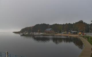 Dąbki - 03-11-2025 09:08