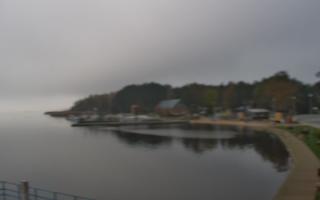 Dąbki - 03-11-2025 09:24