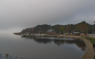 Dąbki - 03-11-2025 09:31