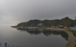 Dąbki - 03-11-2025 09:39