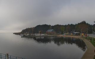 Dąbki - 03-11-2025 09:47