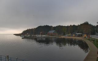 Dąbki - 03-11-2025 09:54