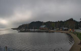 Dąbki - 03-11-2025 10:25