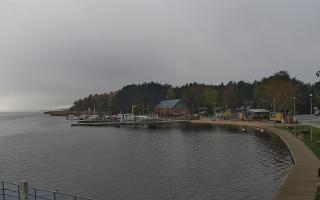 Dąbki - 03-11-2025 10:33