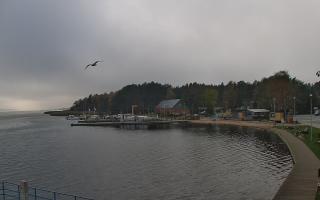 Dąbki - 03-11-2025 10:41