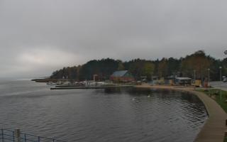 Dąbki - 03-11-2025 10:48