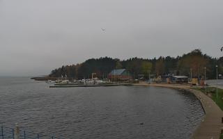 Dąbki - 03-11-2025 11:19