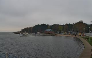 Dąbki - 03-11-2025 11:34