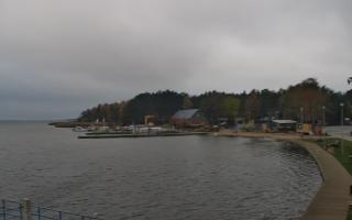 Dąbki - 03-11-2025 11:50