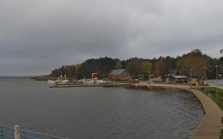 Dąbki - 03-11-2025 11:58