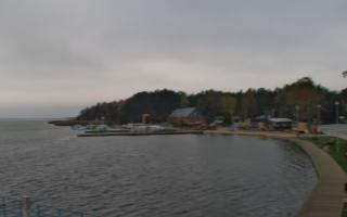 Dąbki - 03-11-2025 12:21