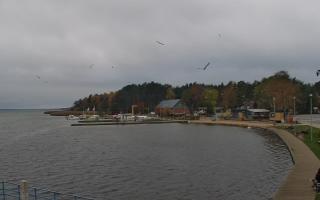 Dąbki - 03-11-2025 12:28