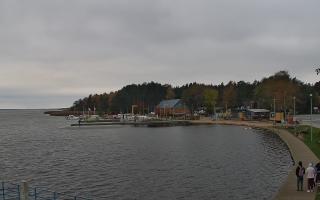 Dąbki - 03-11-2025 12:36