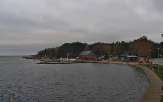 Dąbki - 03-11-2025 12:44