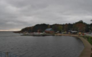 Dąbki - 03-11-2025 12:59