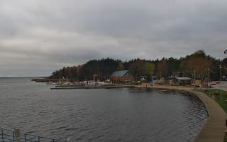 Dąbki - 03-11-2025 13:15