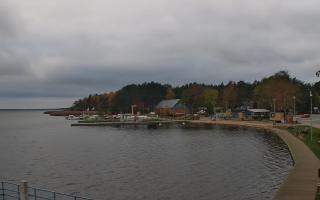 Dąbki - 03-11-2025 13:22