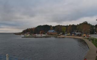 Dąbki - 03-11-2025 13:30