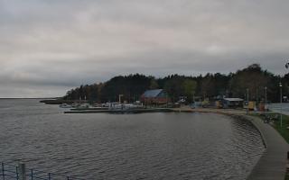 Dąbki - 03-11-2025 13:38