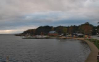 Dąbki - 03-11-2025 14:16