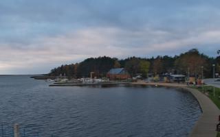 Dąbki - 03-11-2025 14:24